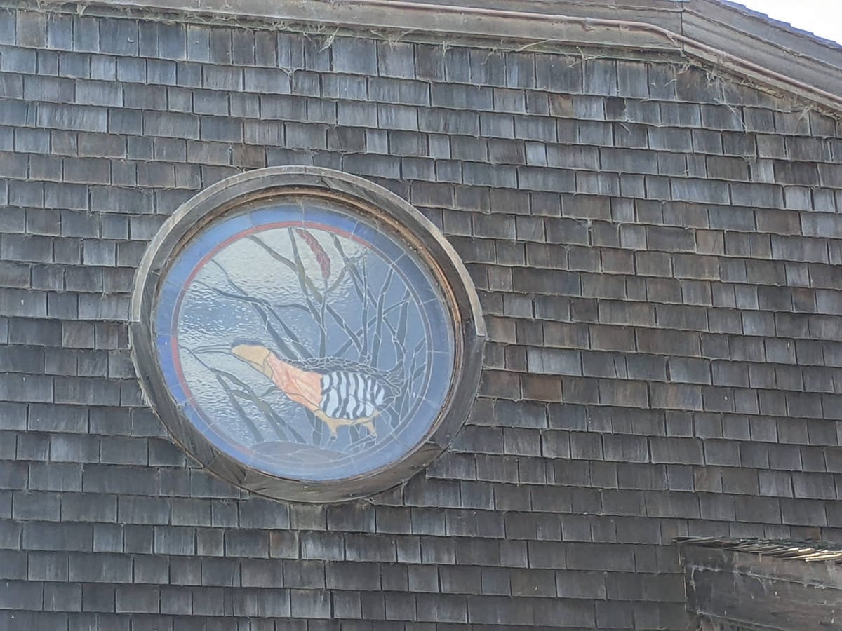 Candidate Interview: Francisco Zermeño