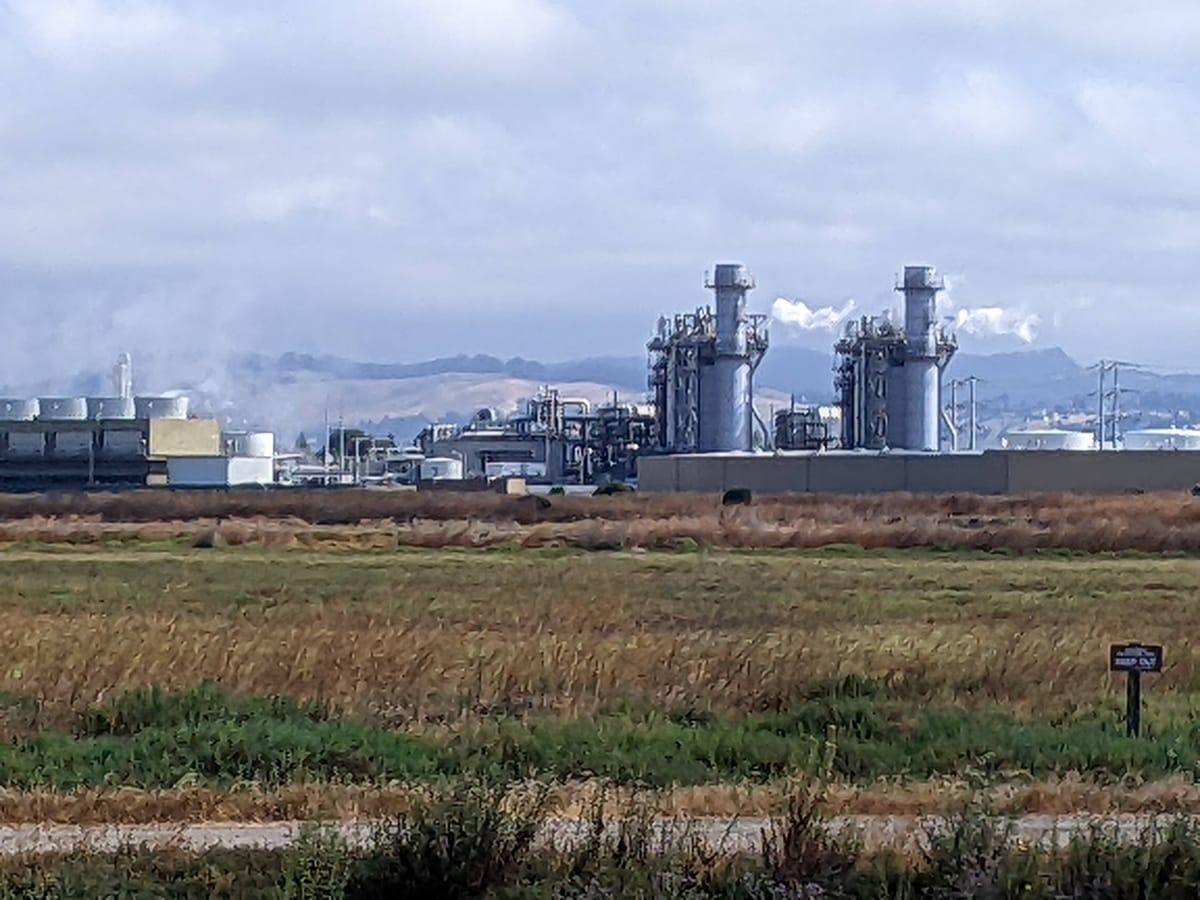 Candidate Interview: Dan Goldstein