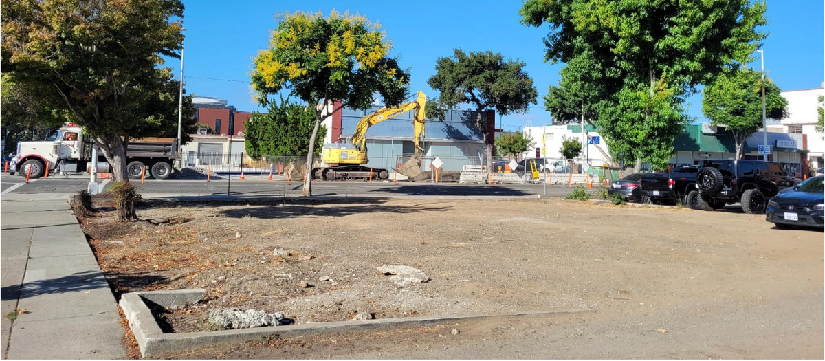 Speculation Station: Litigation and Incorporation