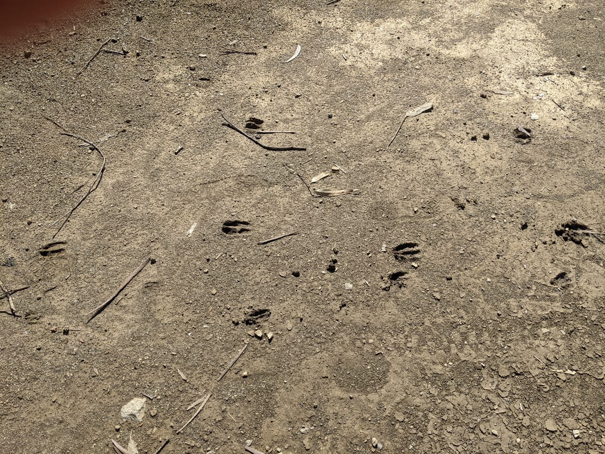 HUSD Updates Faulty Charts