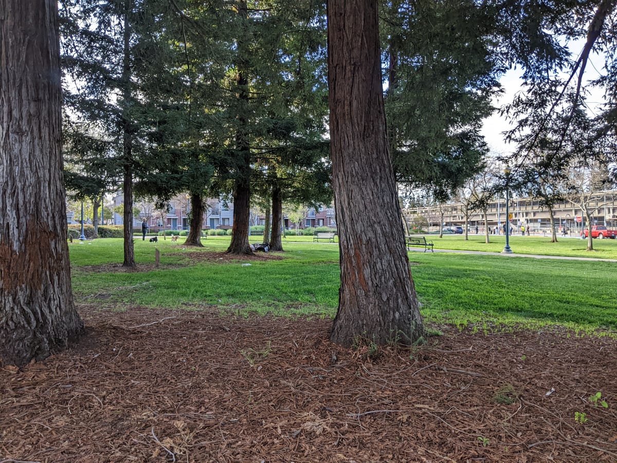 Mayor Tries To Axe Homelessness Task Force