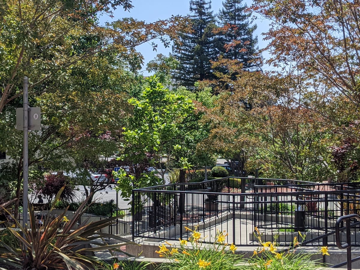 The Zine Comes To You!