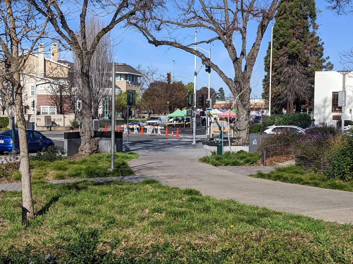 Council Collars The CSC