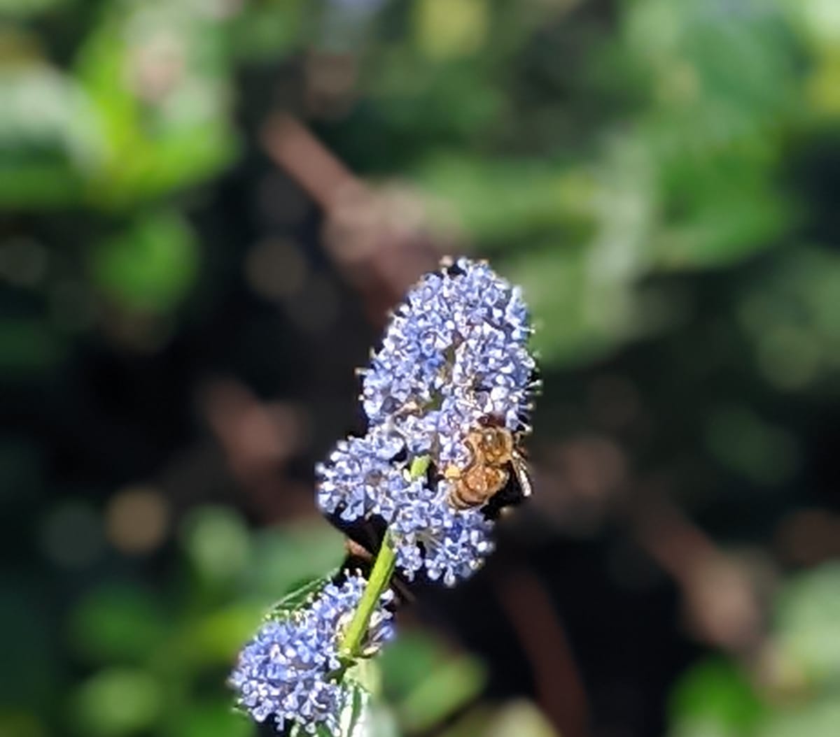 City Council 2025 Priorities Pt. 1