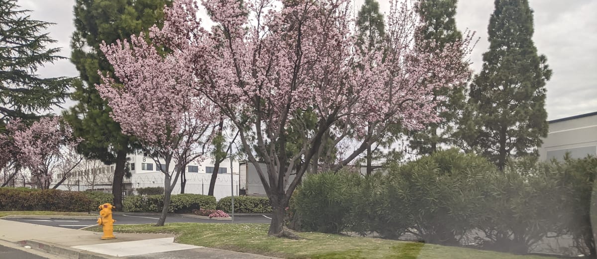 Fighting Over The Same Scraps