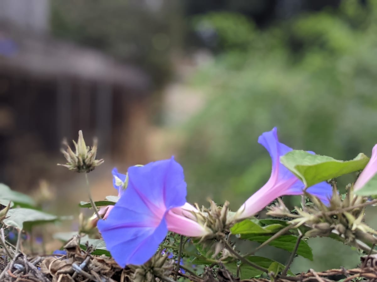 Reflections And Closed Sessions