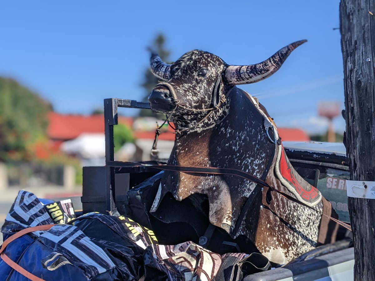 Budgets and Campaign Finance