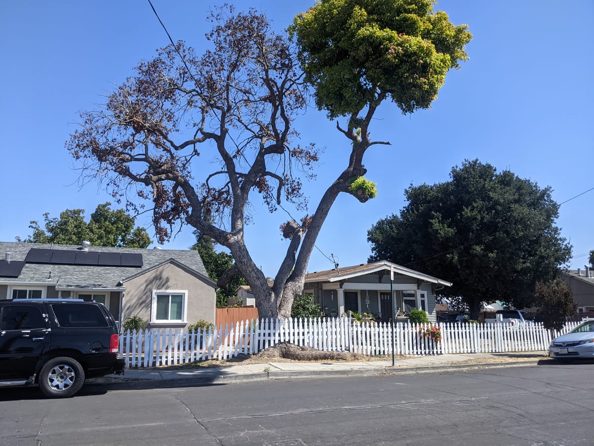 HUSD Still Faces $11 Million Deficit