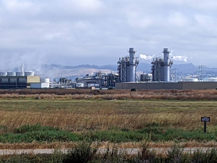 Candidate Interview: Dan Goldstein