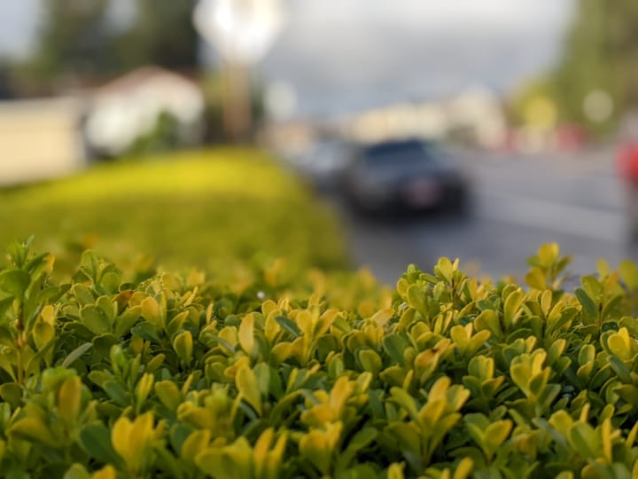 Bite-Sized Updates From Around Town