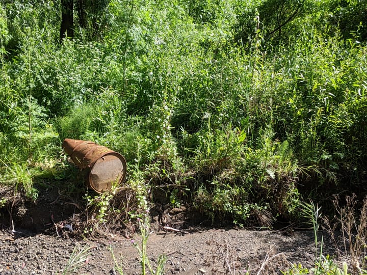 We Measure C What You're Doing There