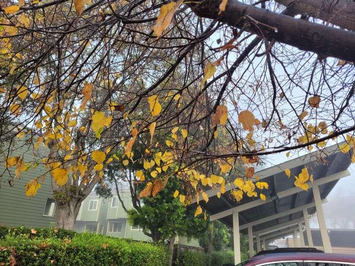 Hayward City Council Goes HARD