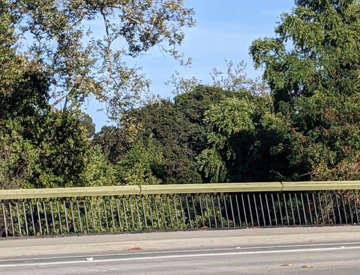 What Happens After Tonight?