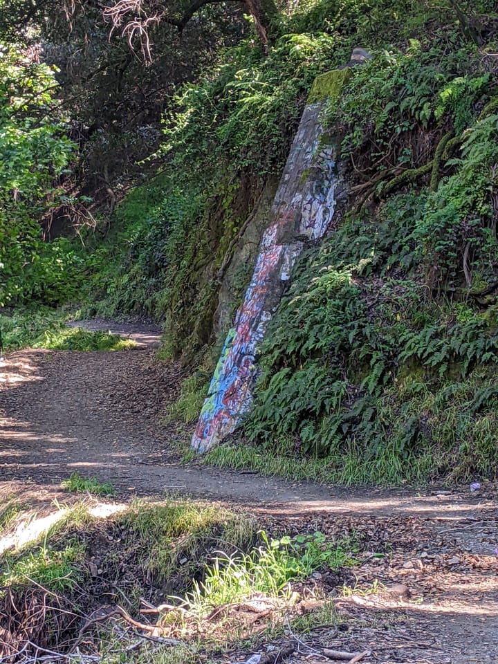 A Push For More Downtown Cops