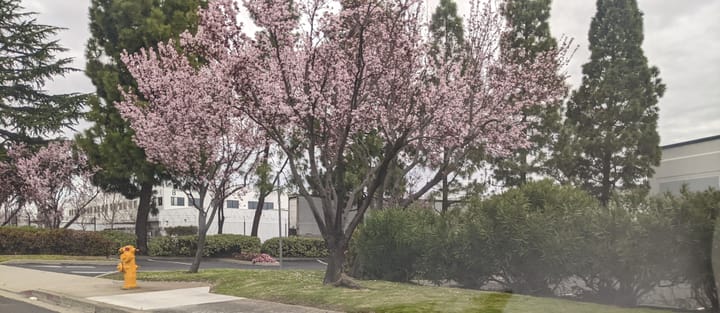 Fighting Over The Same Scraps