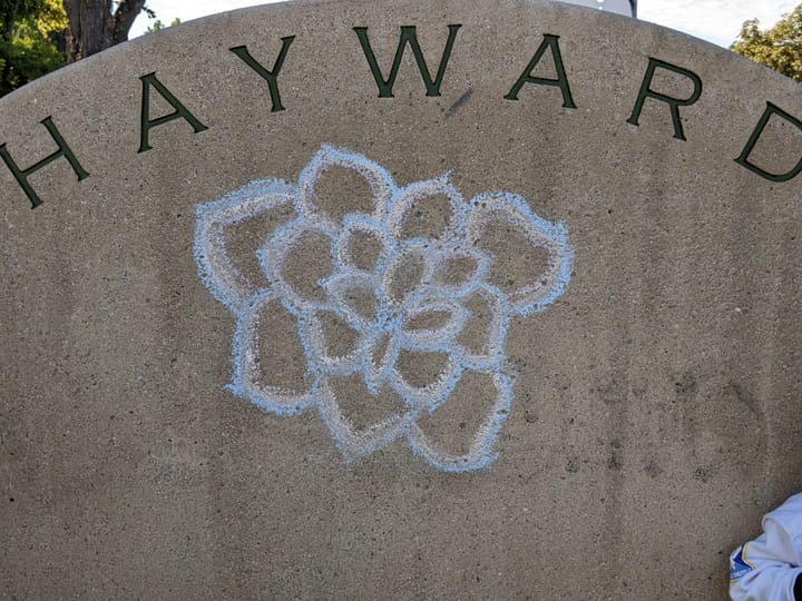 Council Splits Over Marquee Events