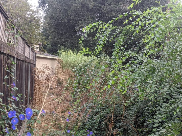 Talking Textbooks and Timelines